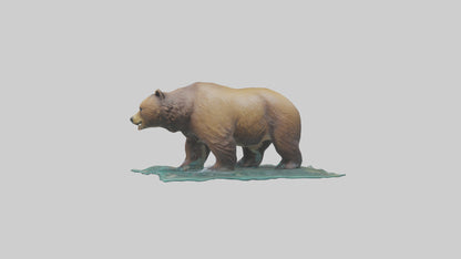 3D model Grizzly Bear fishing model VR / AR / low-poly