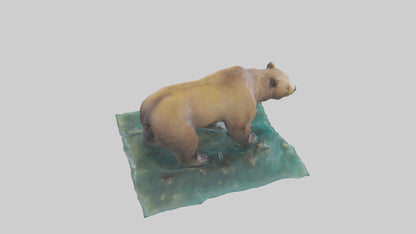 3D model Grizzly Bear fishing model VR / AR / low-poly