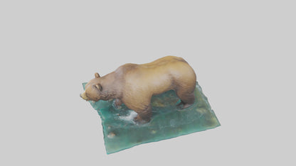 3D model Grizzly Bear fishing model VR / AR / low-poly