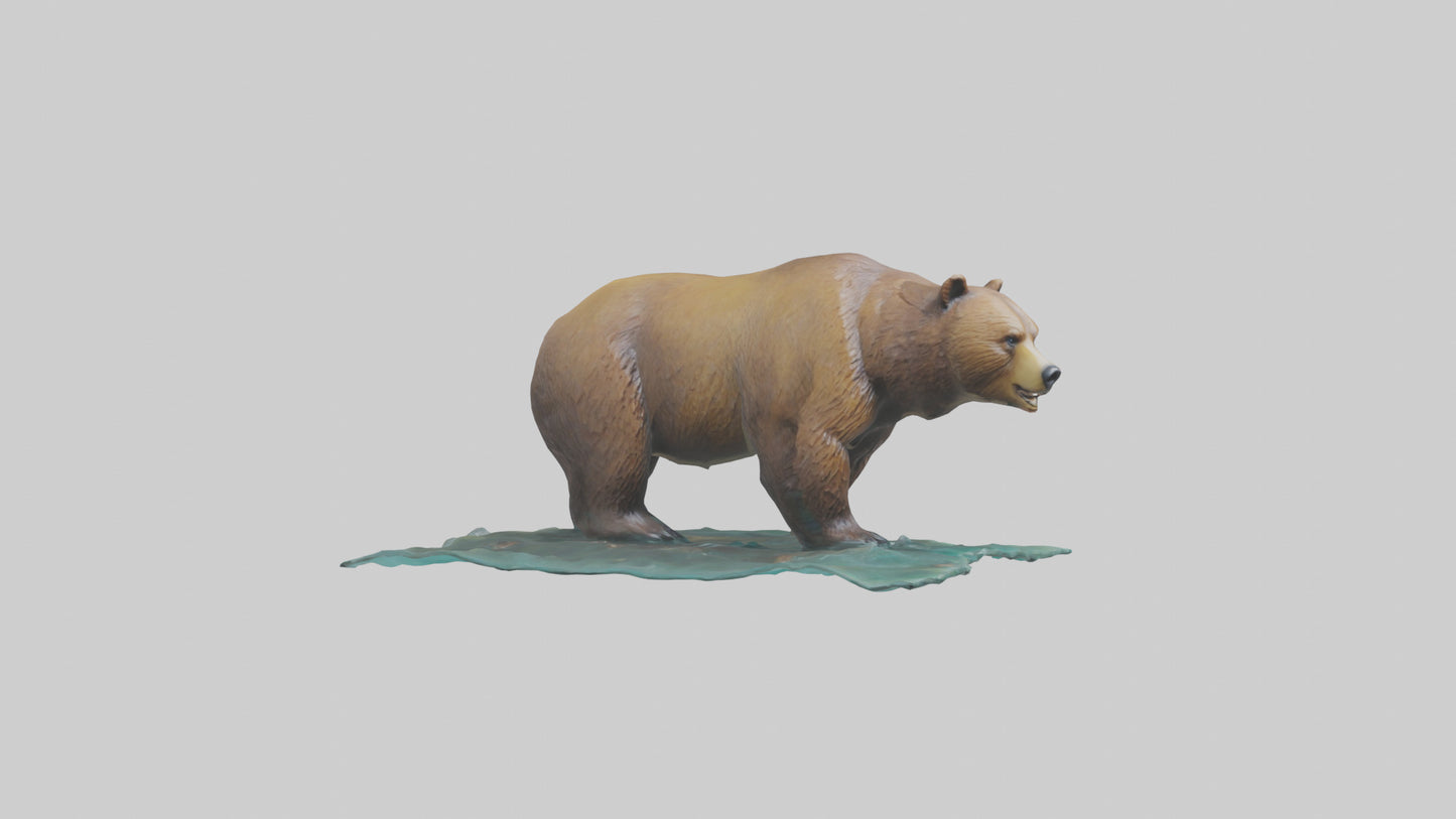 3D model Grizzly Bear fishing model VR / AR / low-poly
