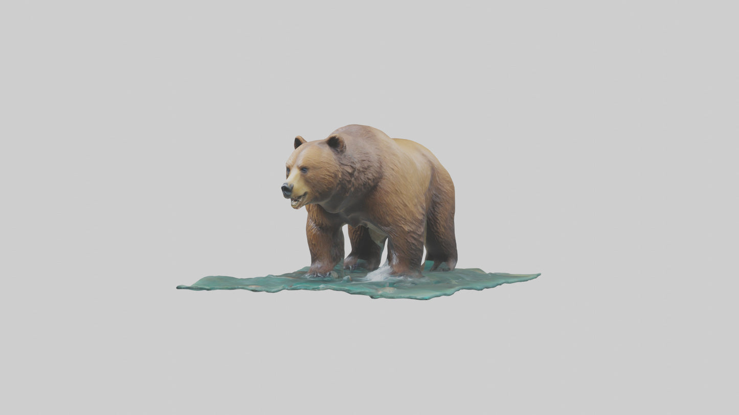 3D model Grizzly Bear fishing model VR / AR / low-poly