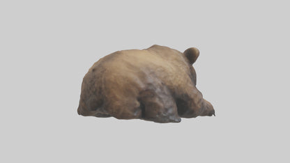 Grizzly Cub playing model VR / AR / low-poly