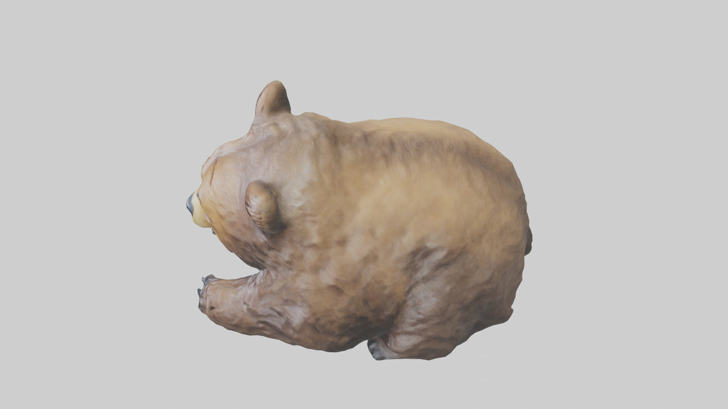 Grizzly Cub playing model VR / AR / low-poly