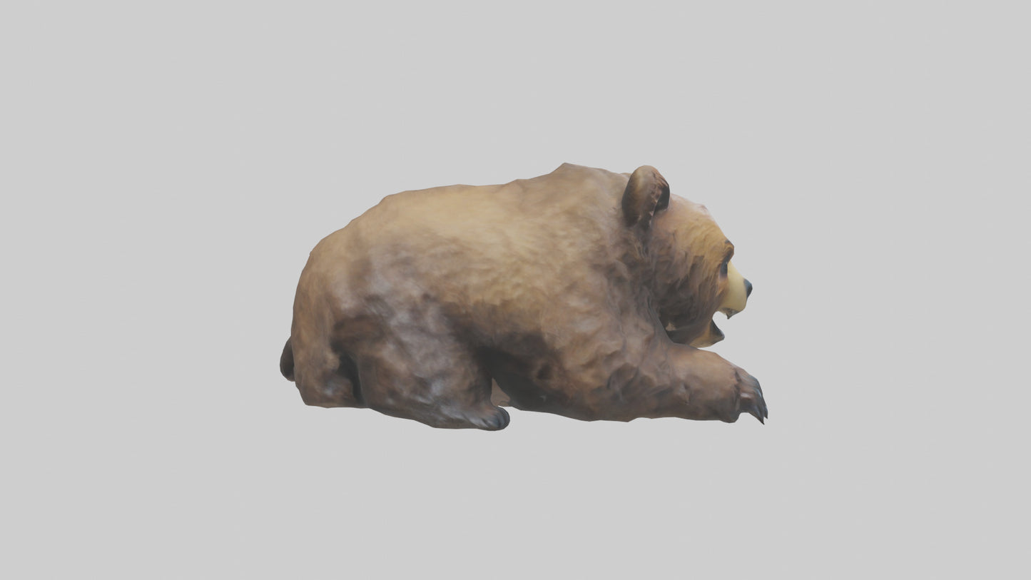 Grizzly Cub playing model VR / AR / low-poly