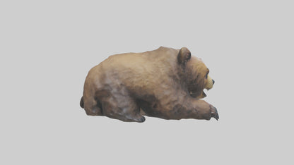Grizzly Cub playing model VR / AR / low-poly