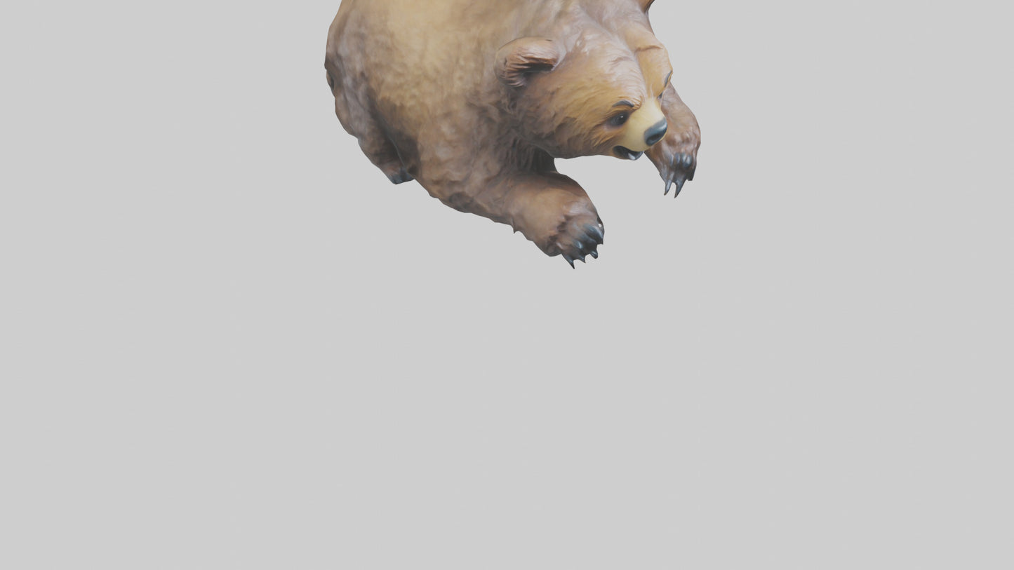 Grizzly Cub playing model VR / AR / low-poly