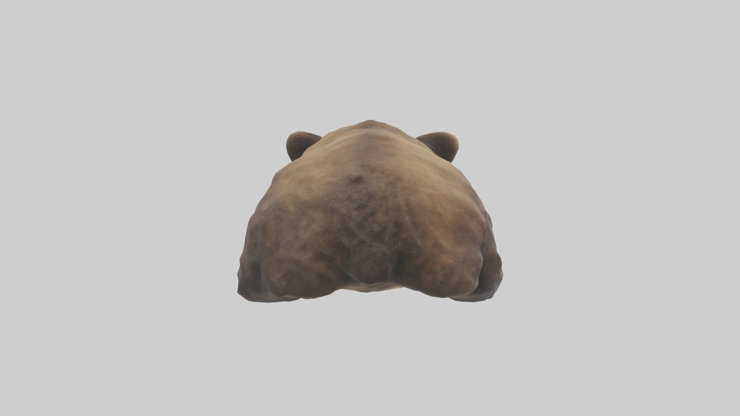 Grizzly Cub playing model VR / AR / low-poly