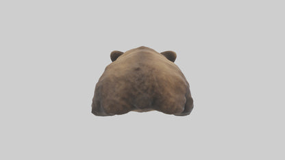 Grizzly Cub playing model VR / AR / low-poly