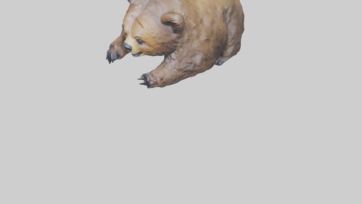 Grizzly Cub playing model VR / AR / low-poly