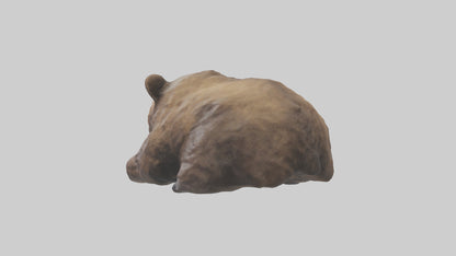 Grizzly Cub playing model VR / AR / low-poly