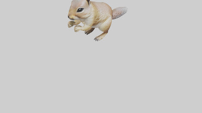 3D model Ground Squirrel standing alert model VR / AR / low-poly