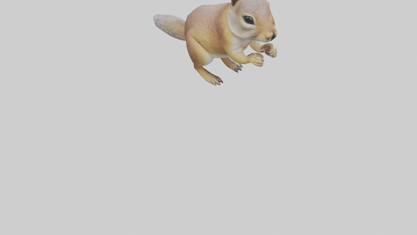 3D model Ground Squirrel standing alert model VR / AR / low-poly