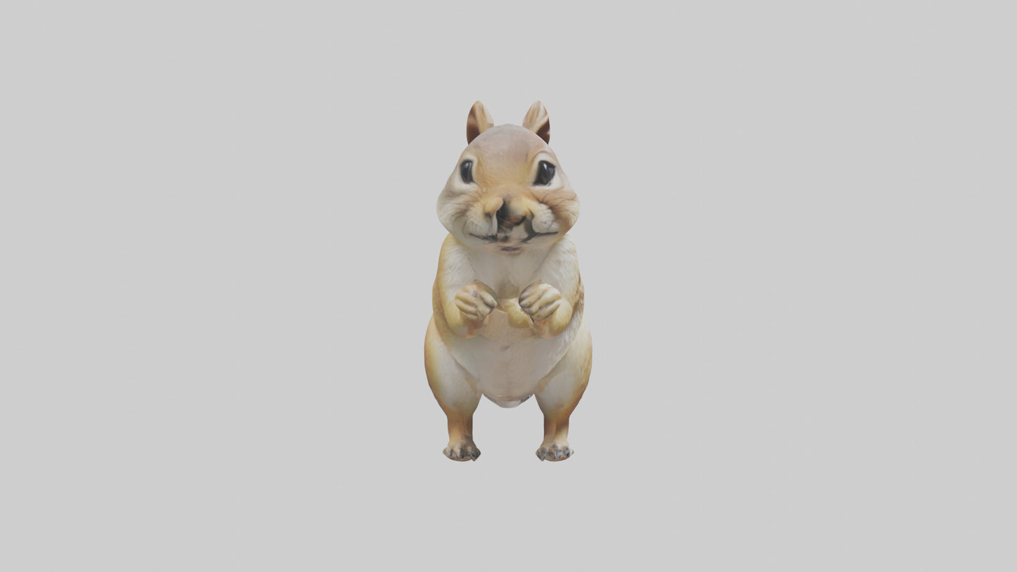 3D model Ground Squirrel standing alert model VR / AR / low-poly