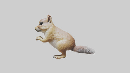 3D model Ground Squirrel standing alert model VR / AR / low-poly