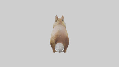 3D model Ground Squirrel standing alert model VR / AR / low-poly