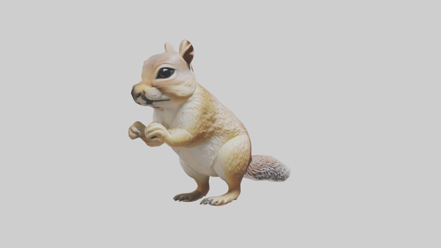 3D model Ground Squirrel standing alert model VR / AR / low-poly