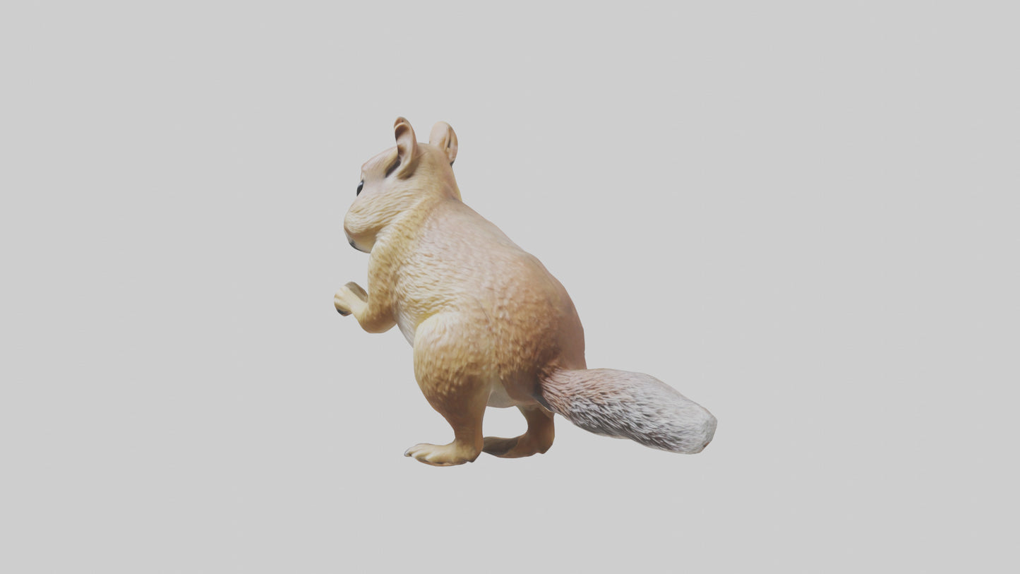 3D model Ground Squirrel standing alert model VR / AR / low-poly