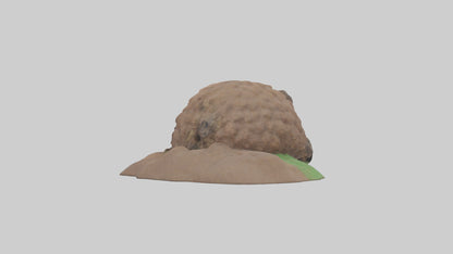 3D model Groundhog emerging from hole model VR / AR / low-poly