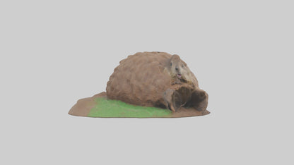 3D model Groundhog emerging from hole model VR / AR / low-poly