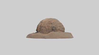 3D model Groundhog emerging from hole model VR / AR / low-poly