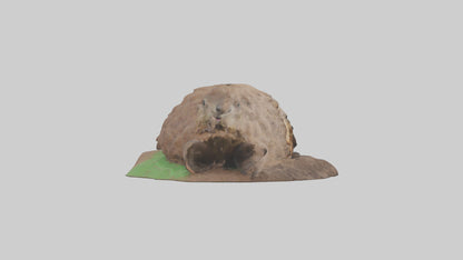 3D model Groundhog emerging from hole model VR / AR / low-poly