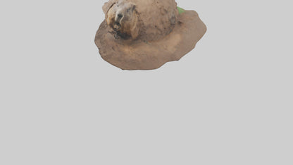 3D model Groundhog emerging from hole model VR / AR / low-poly