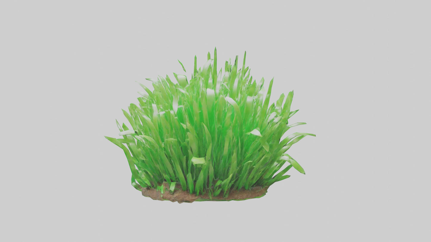 3D model Growing Grass Sculpture model VR / AR / low-poly