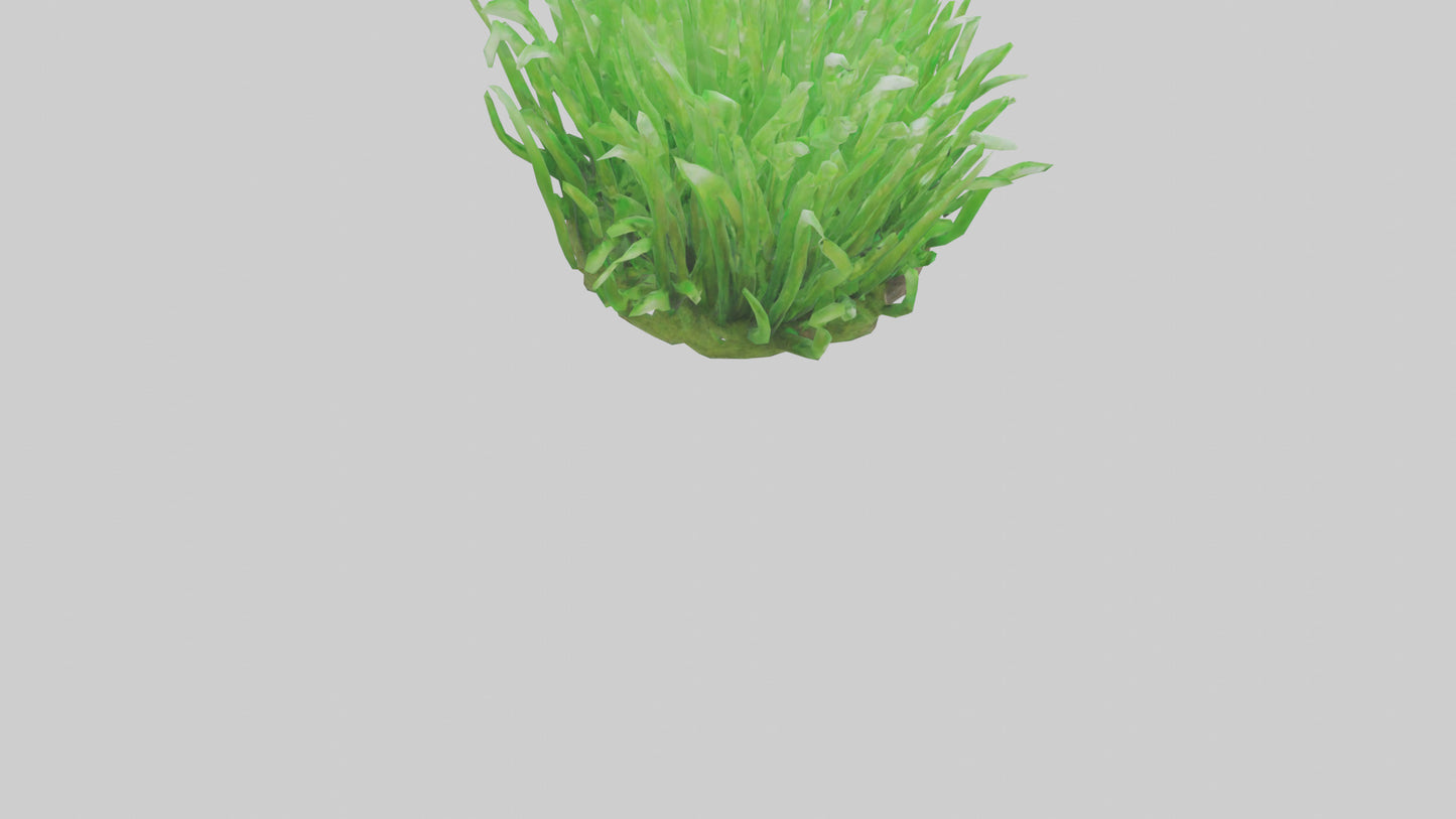 3D model Growing Grass Sculpture model VR / AR / low-poly