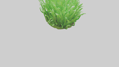3D model Growing Grass Sculpture model VR / AR / low-poly