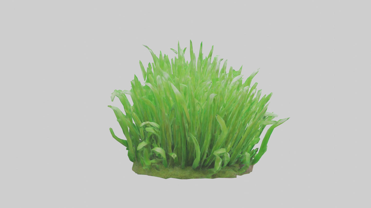 3D model Growing Grass Sculpture model VR / AR / low-poly