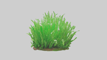 3D model Growing Grass Sculpture model VR / AR / low-poly