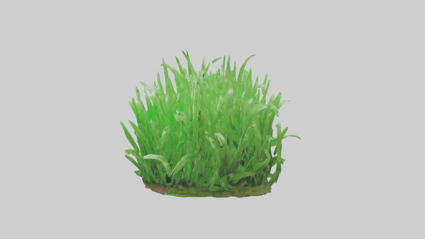 3D model Growing Grass Sculpture model VR / AR / low-poly