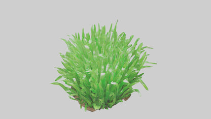 3D model Growing Grass Sculpture model VR / AR / low-poly
