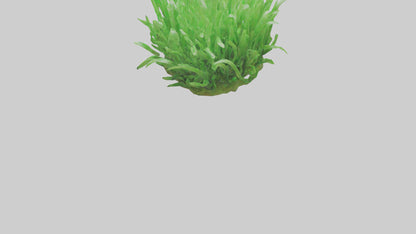 3D model Growing Grass Sculpture model VR / AR / low-poly