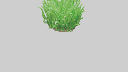 3D model Growing Grass Sculpture model VR / AR / low-poly