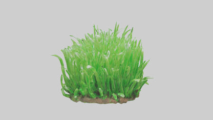 3D model Growing Grass Sculpture model VR / AR / low-poly