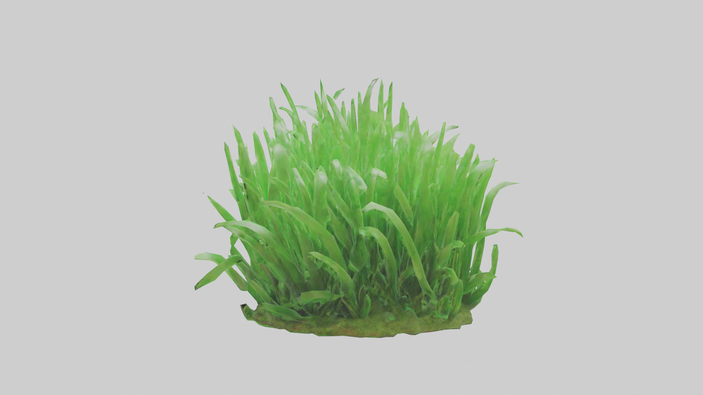 3D model Growing Grass Sculpture model VR / AR / low-poly