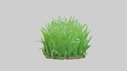 3D model Growing Grass Sculpture model VR / AR / low-poly