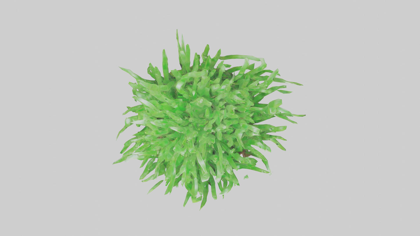 3D model Growing Grass Sculpture model VR / AR / low-poly