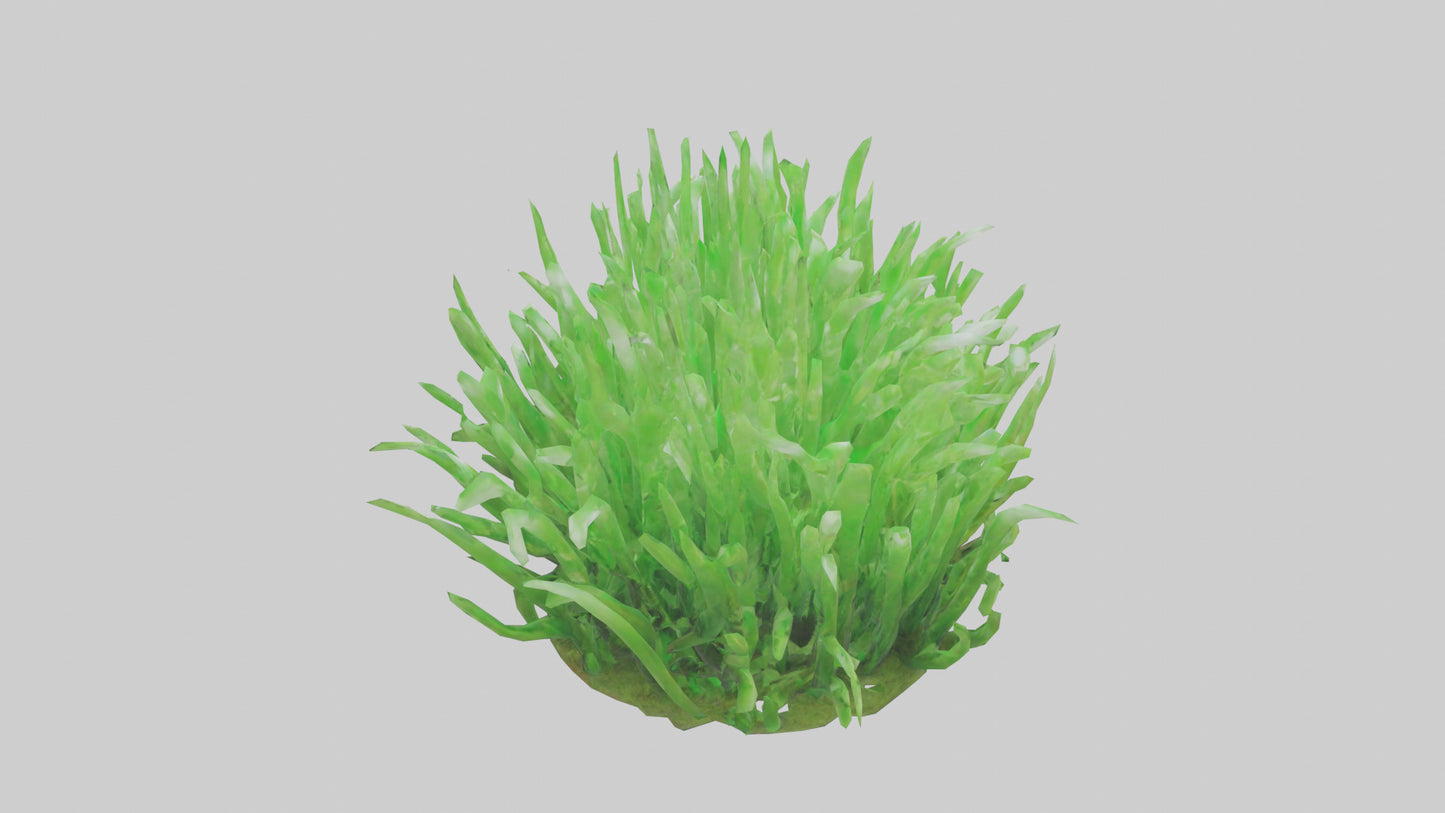 3D model Growing Grass Sculpture model VR / AR / low-poly