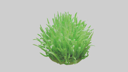 3D model Growing Grass Sculpture model VR / AR / low-poly