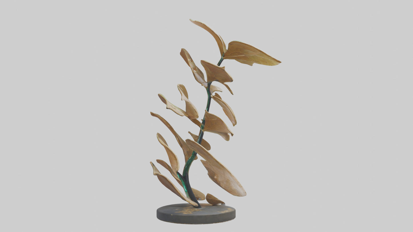 3D model Growing Leaf Spiral Sculpture model VR / AR / low-poly