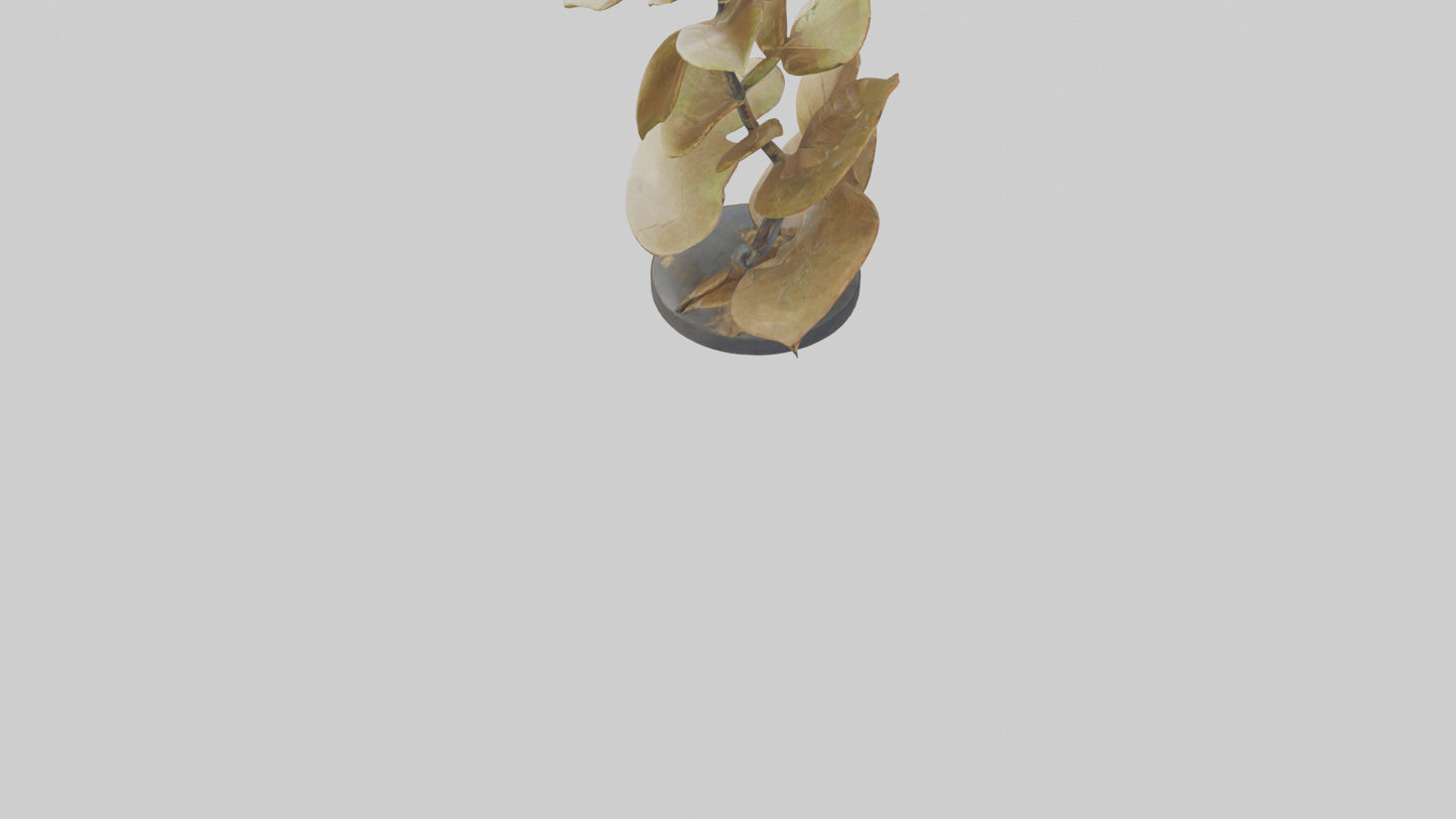 3D model Growing Leaf Spiral Sculpture model VR / AR / low-poly