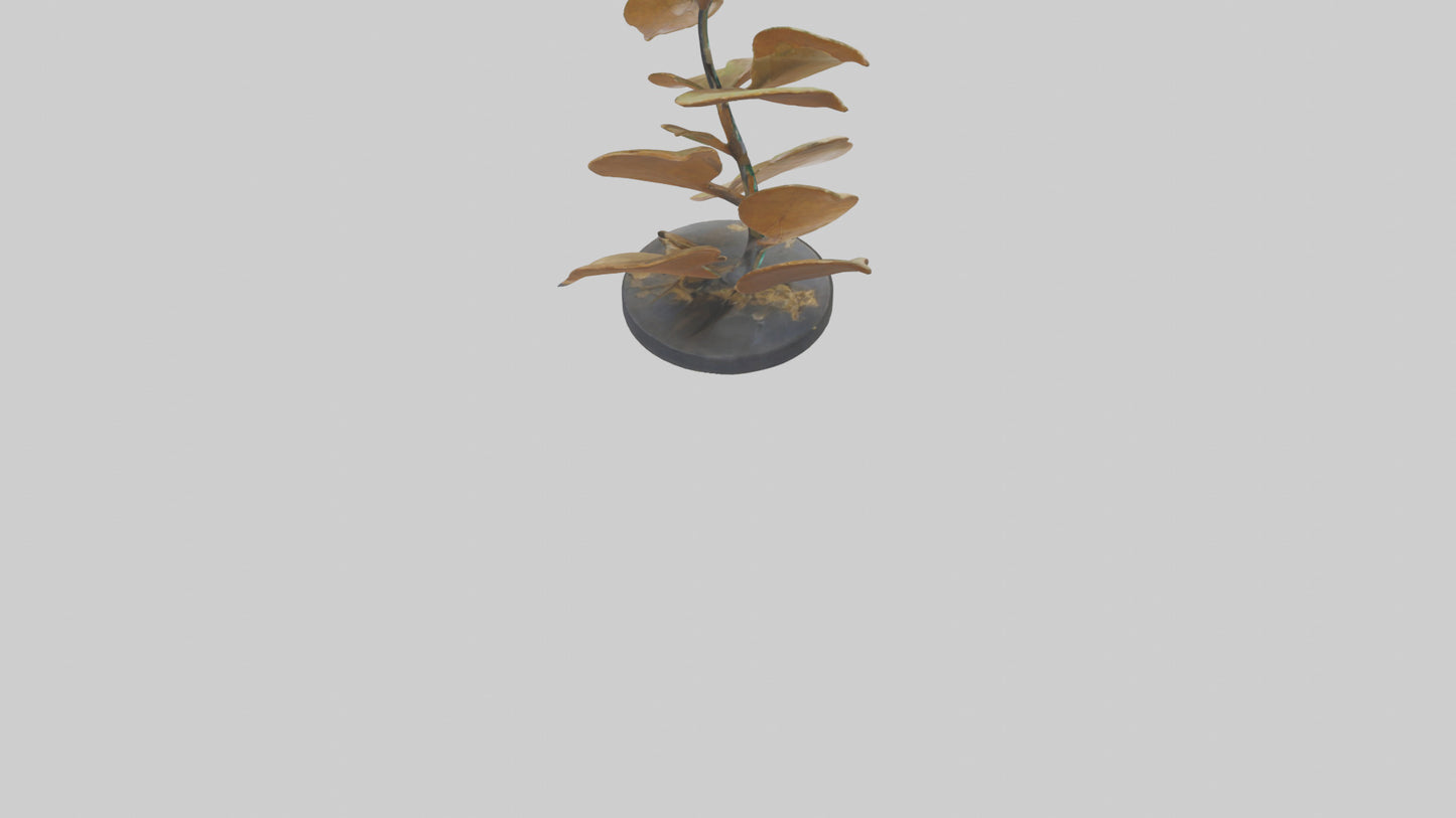 3D model Growing Leaf Spiral Sculpture model VR / AR / low-poly
