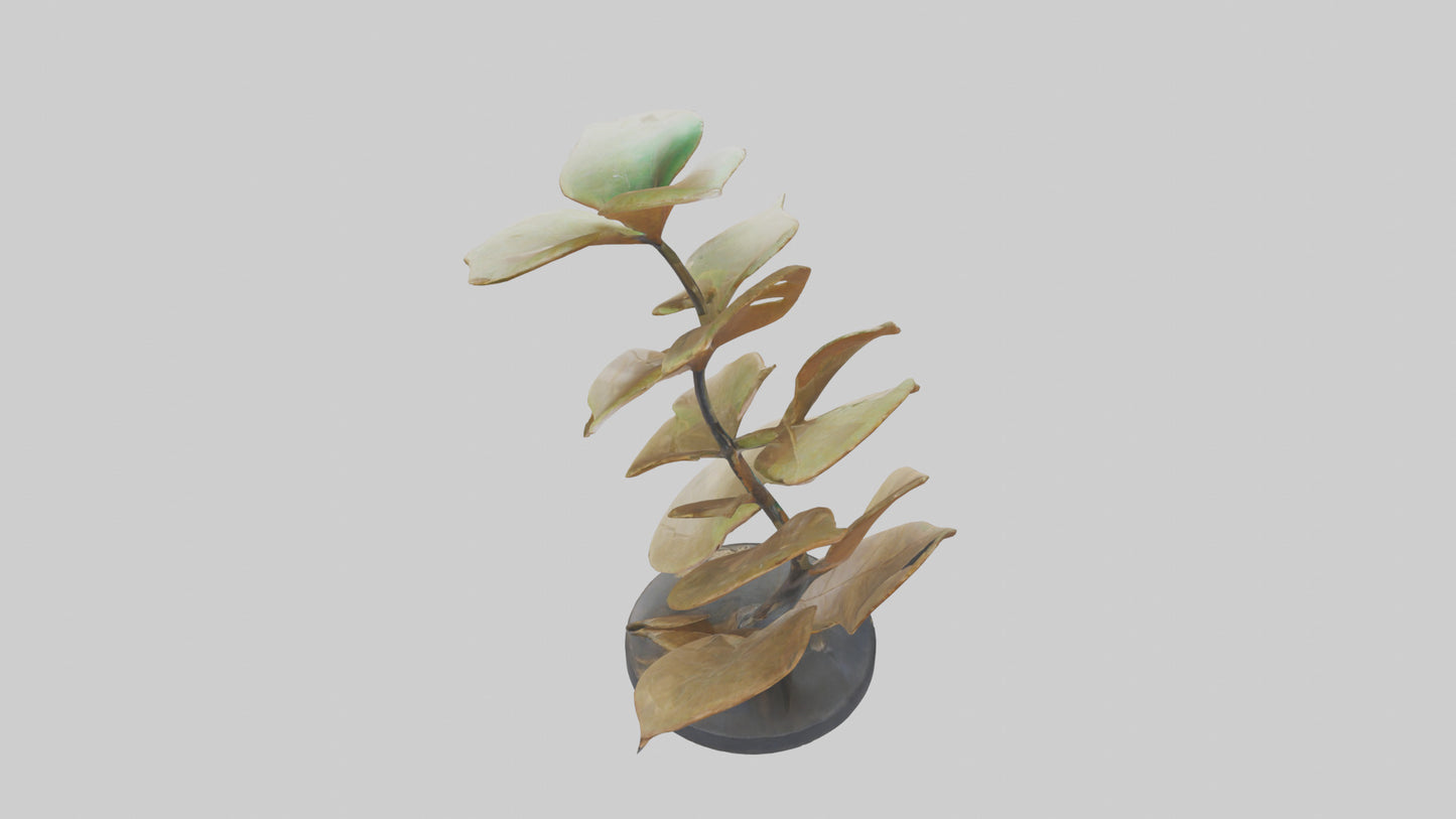 3D model Growing Leaf Spiral Sculpture model VR / AR / low-poly