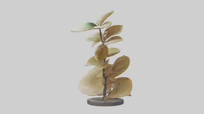 3D model Growing Leaf Spiral Sculpture model VR / AR / low-poly