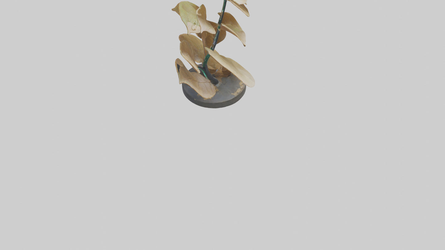 3D model Growing Leaf Spiral Sculpture model VR / AR / low-poly