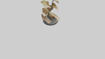 3D model Growing Leaf Spiral Sculpture model VR / AR / low-poly