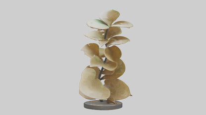 3D model Growing Leaf Spiral Sculpture model VR / AR / low-poly