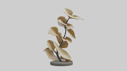 3D model Growing Leaf Spiral Sculpture model VR / AR / low-poly